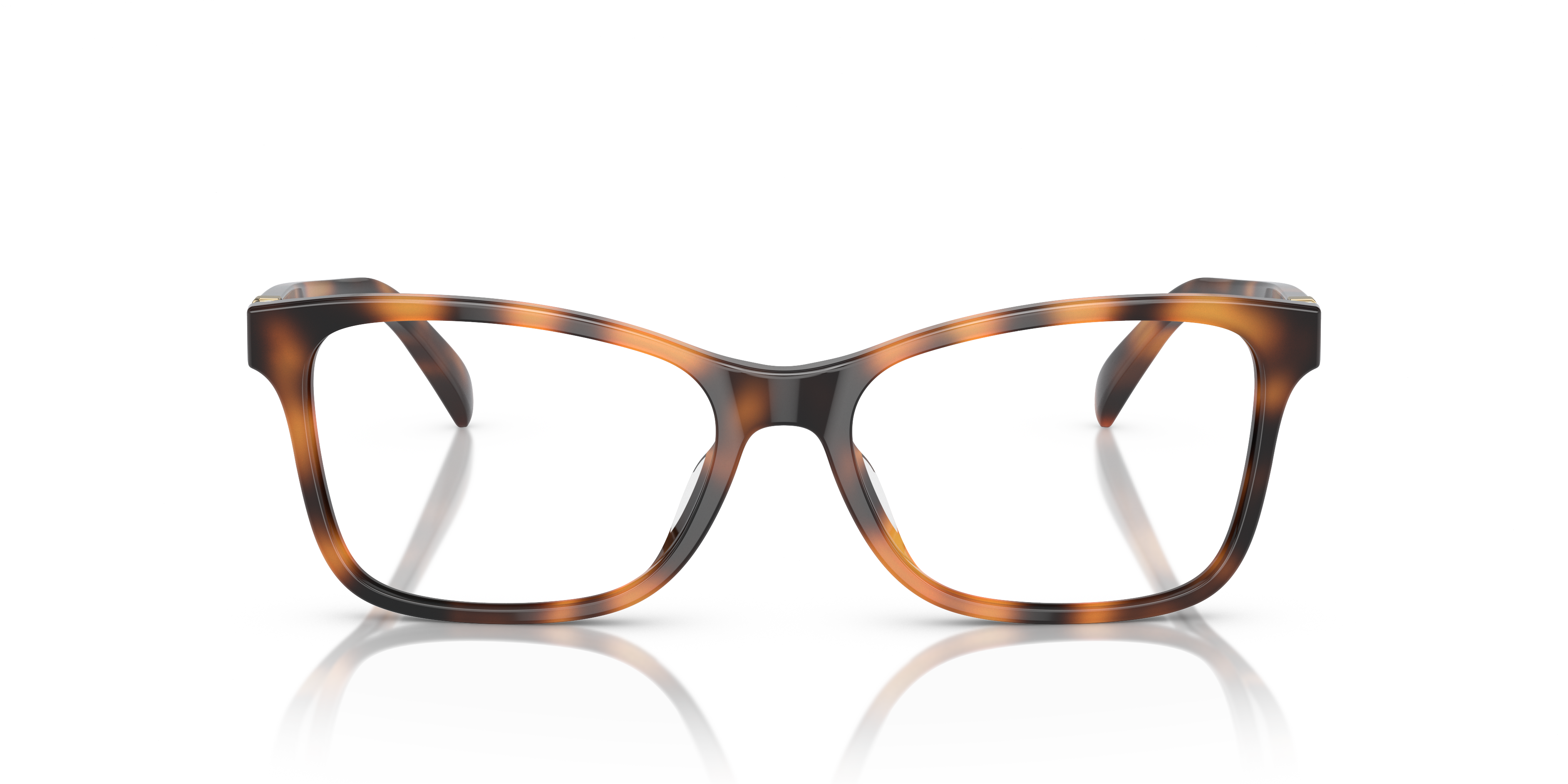 RALPH LAUREN RL6233U 5303 54