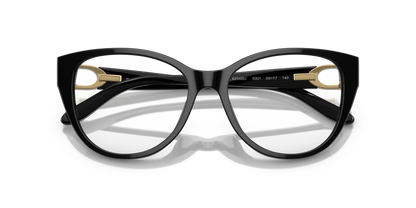 RALPH LAUREN RL6234BU 5001 53