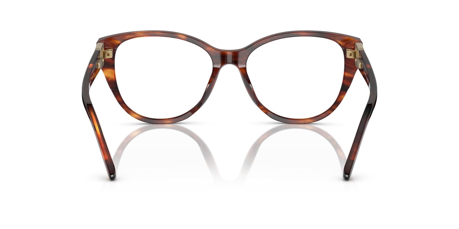 RALPH LAUREN RL6234BU 5007 53