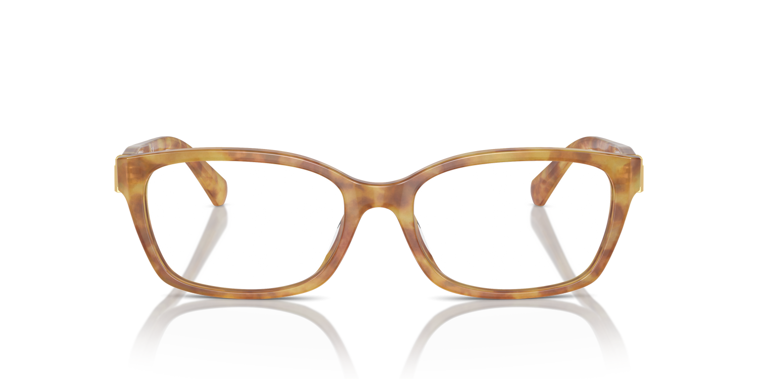 RALPH LAUREN RL6244U 5304 53