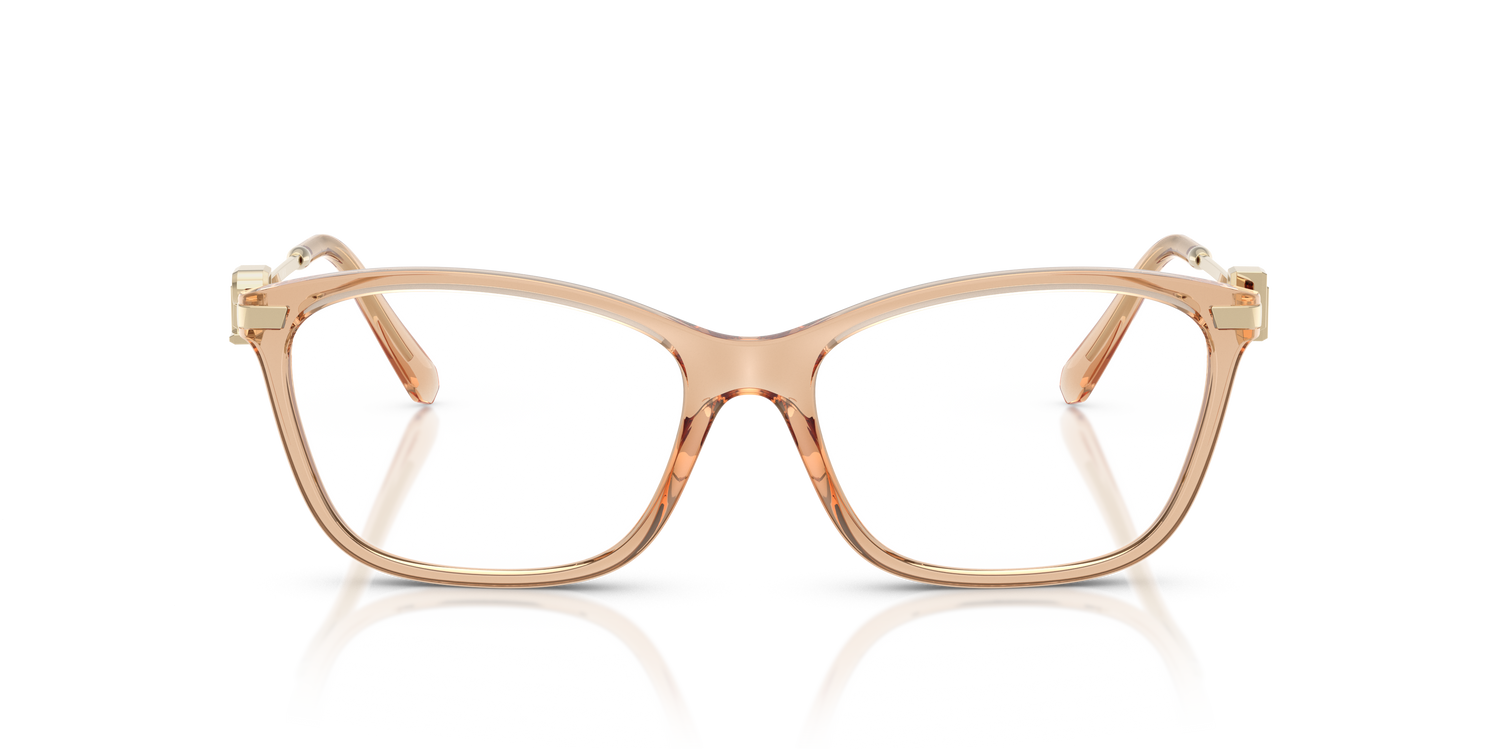 RALPH LAUREN RL6247U 6205 53