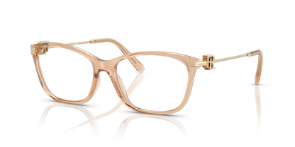 RALPH LAUREN RL6247U 6205 53