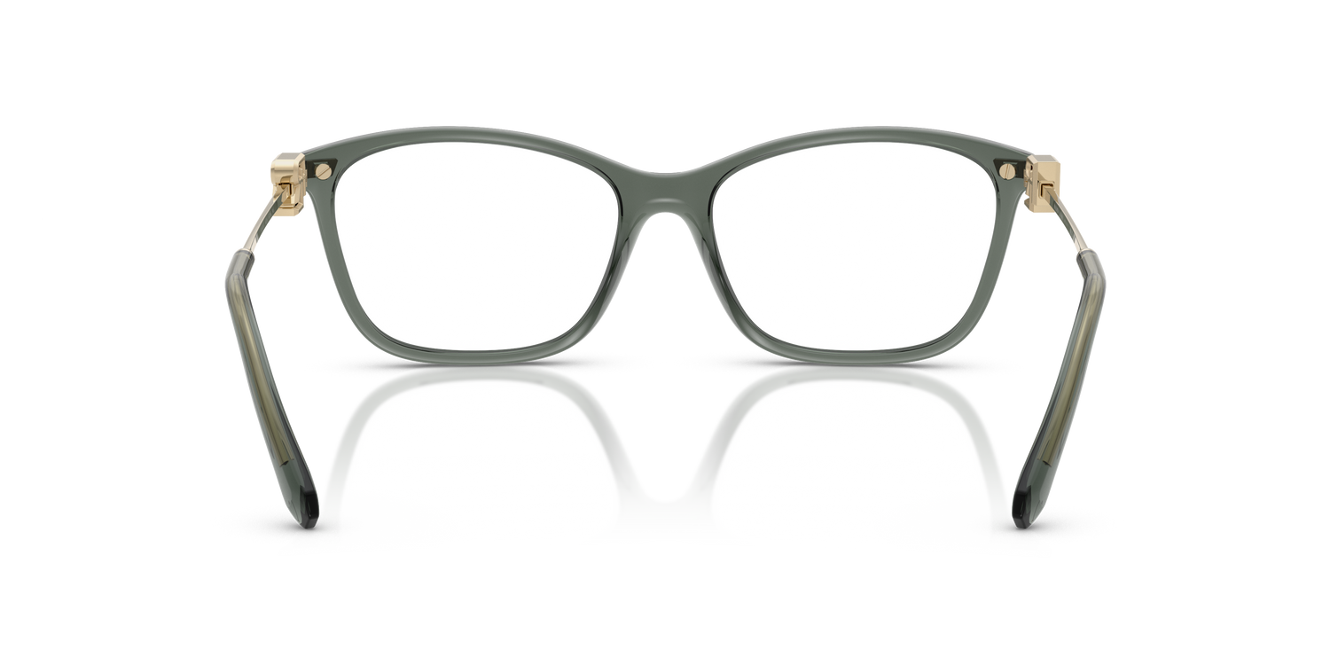 RALPH LAUREN RL6247U 6216 55