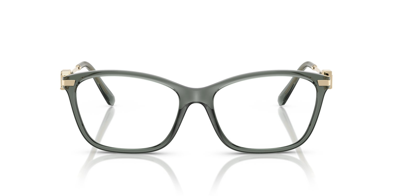 RALPH LAUREN RL6247U 6216 55