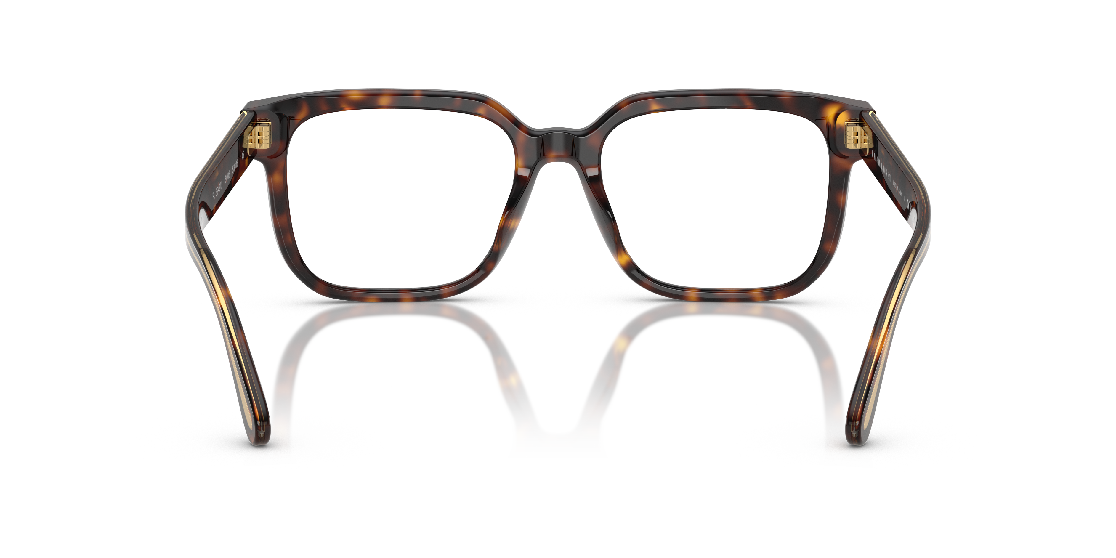 RALPH LAUREN RL6249U 5003 51