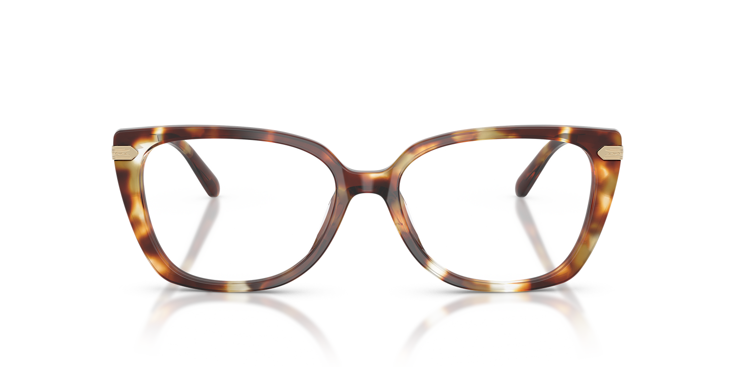 RALPH LAUREN RL6250U 6056 55