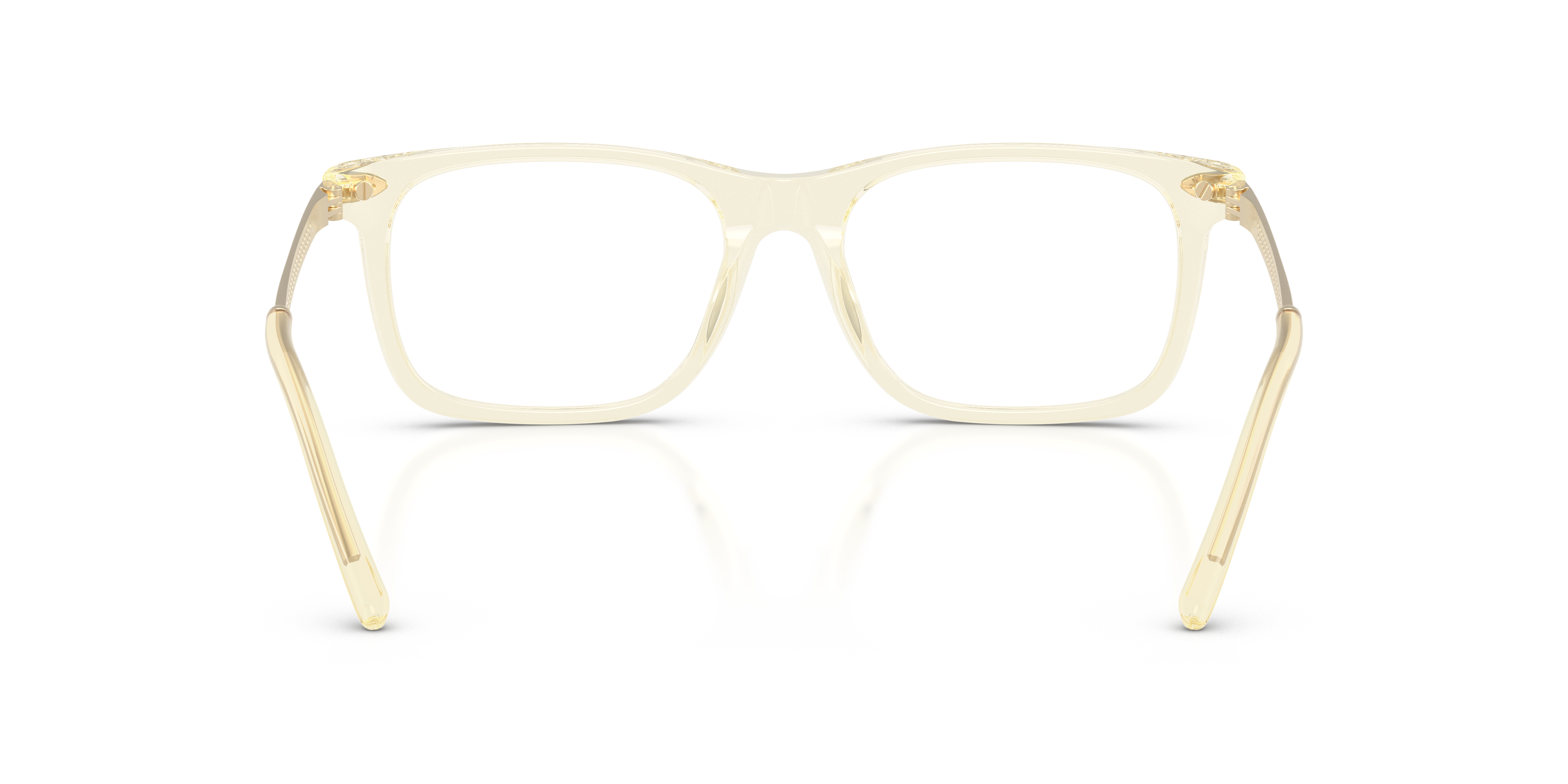 RALPH LAUREN RL6253U 5034 53