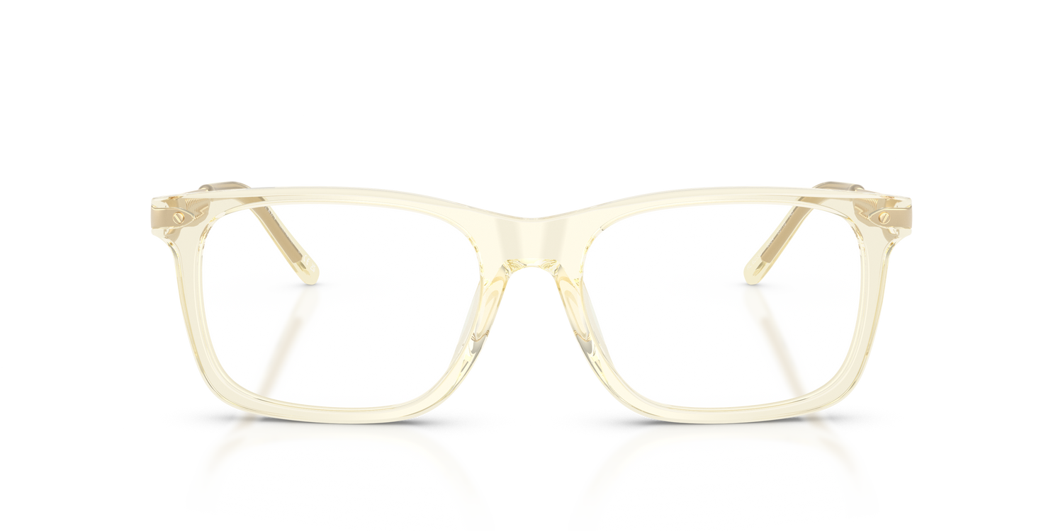 RALPH LAUREN RL6253U 5034 55