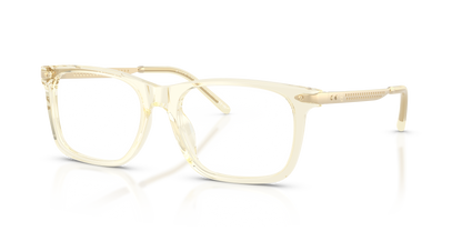 RALPH LAUREN RL6253U 5034 53