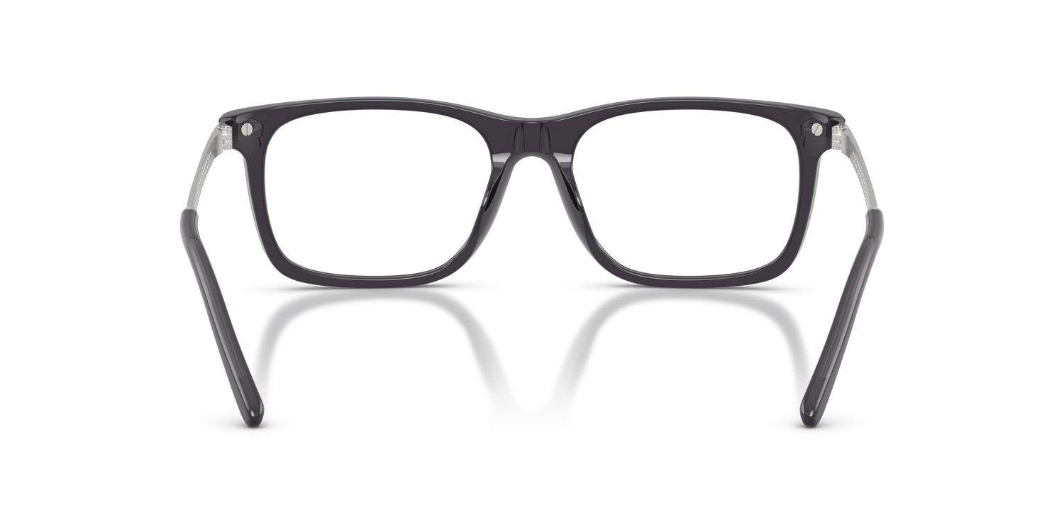 RALPH LAUREN RL6253U 5965 53