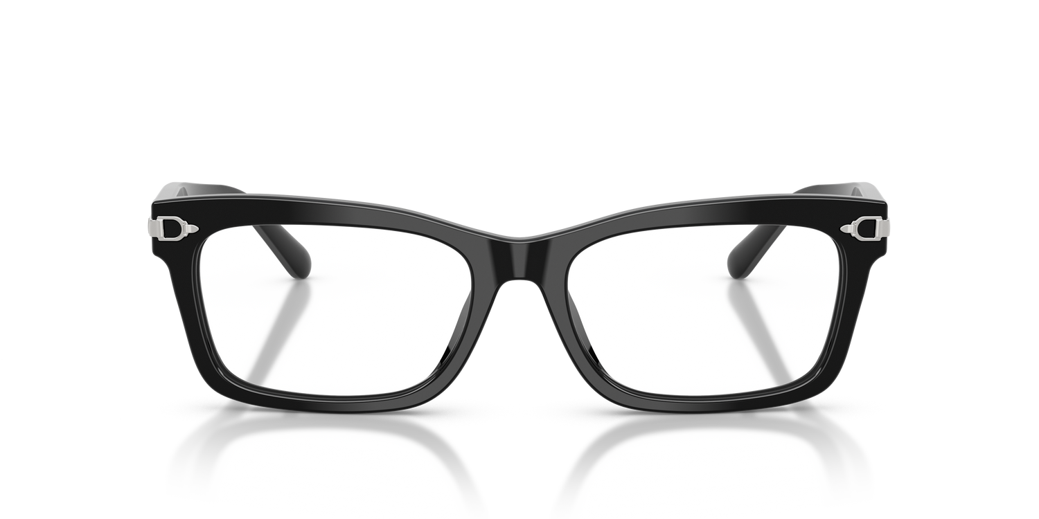 RALPH LAUREN RL6255U 5001 53