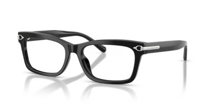 RALPH LAUREN RL6255U 5001 53