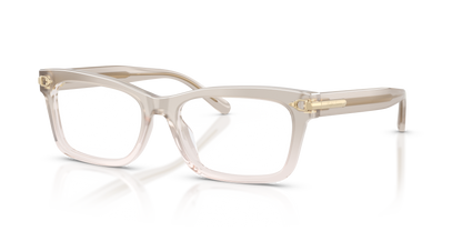 RALPH LAUREN RL6255U 6112 55