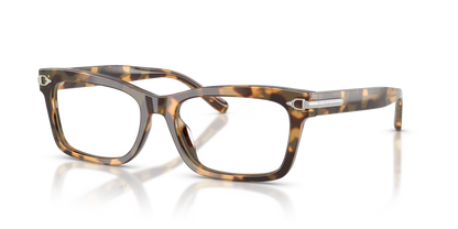 RALPH LAUREN RL6255U 6178 55