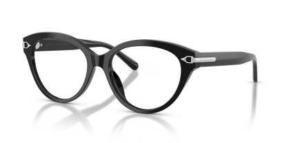 RALPH LAUREN RL6256U 5001 55