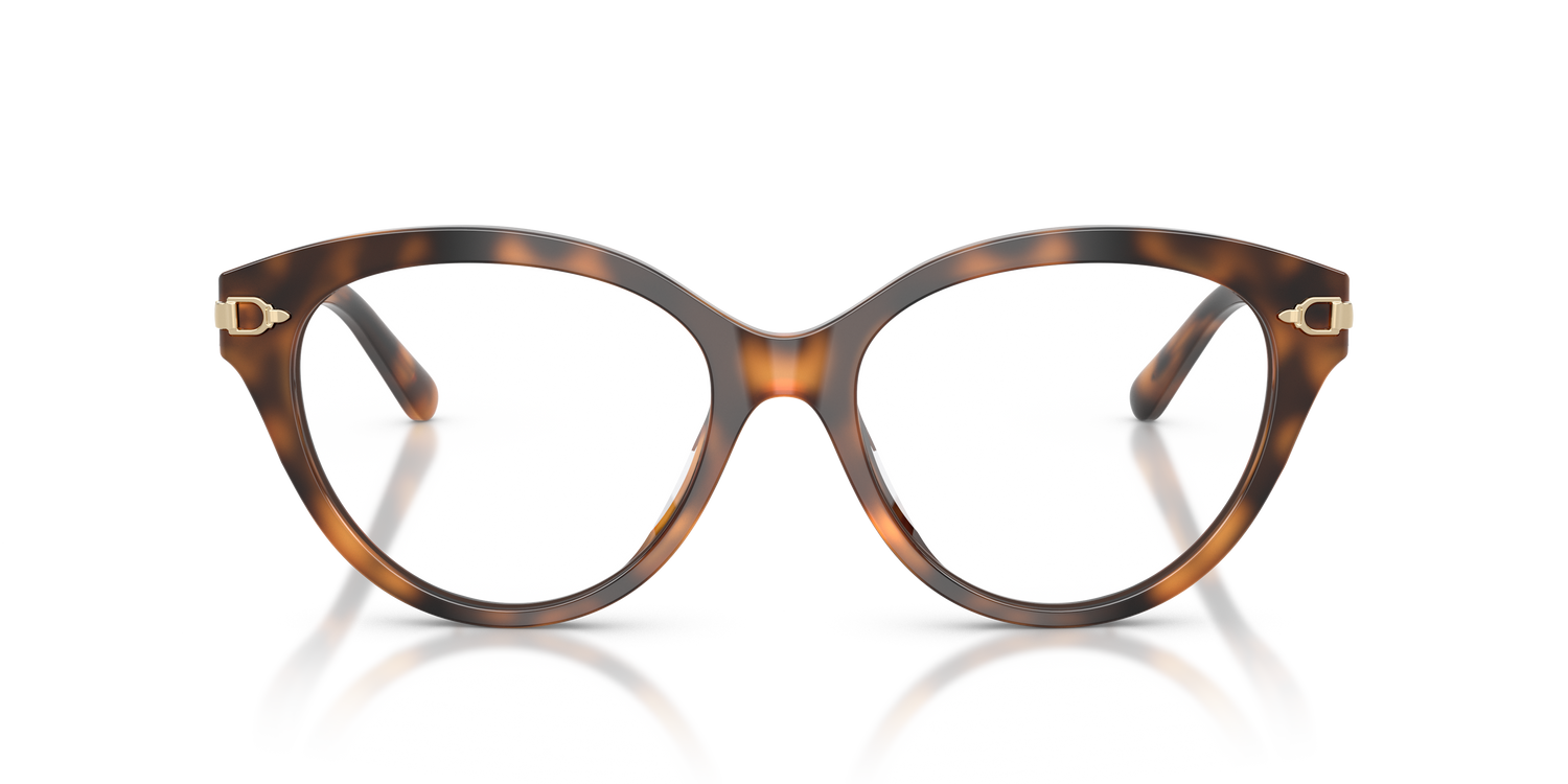 RALPH LAUREN RL6256U 6089 53