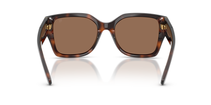 RALPH LAUREN RL8230U 624173 54