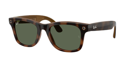 RAY-BAN META RW4011 WAYFARER 690571 53
