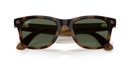 RAY-BAN META RW4011 WAYFARER 690571 53