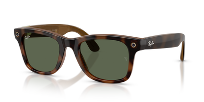 RAY-BAN META RW4011 WAYFARER 690571 53