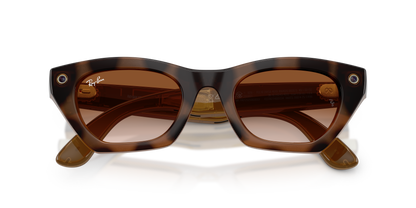 RAY-BAN META RW4015 ZENA 690513 49