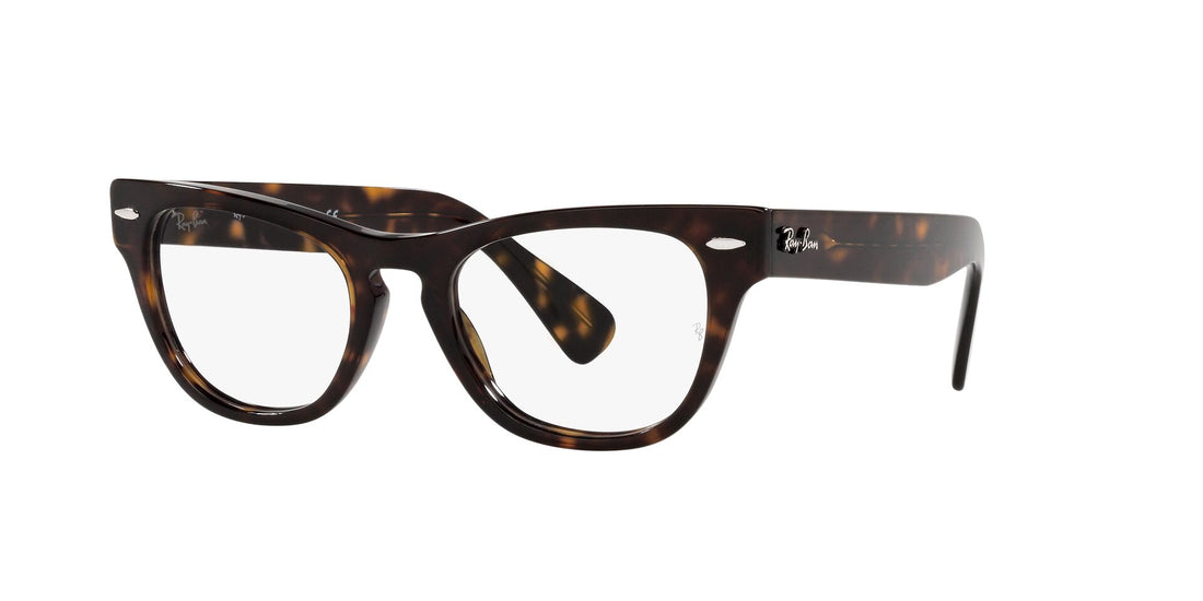 RAY-BAN RX2201V LARAMIE 2012 54