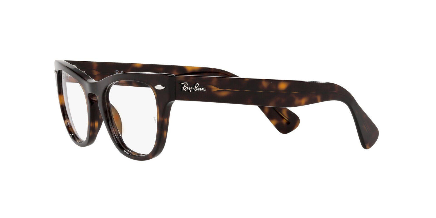 RAY-BAN RX2201V LARAMIE 2012 54