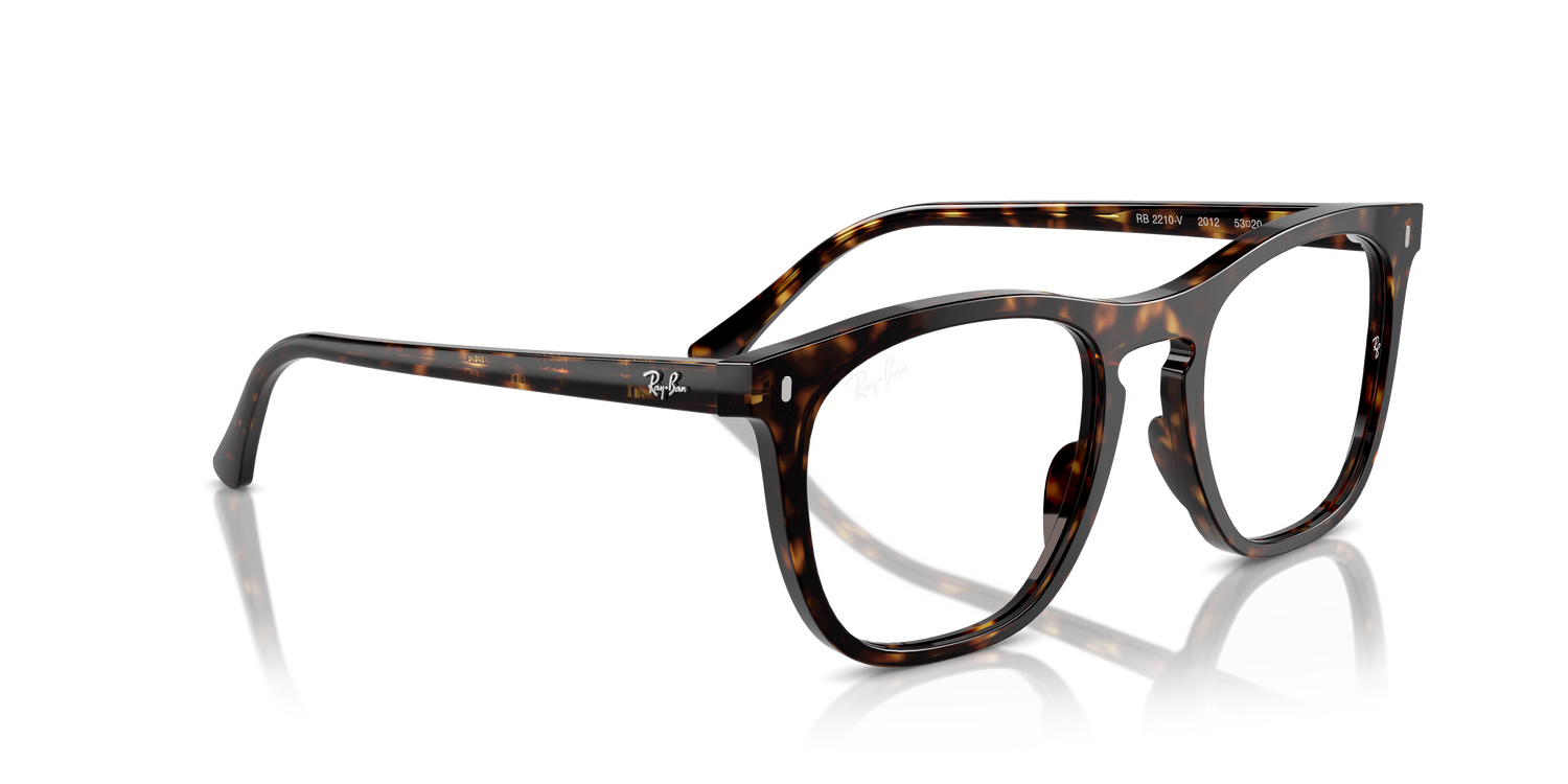 RAY-BAN RX2210V 2012 51