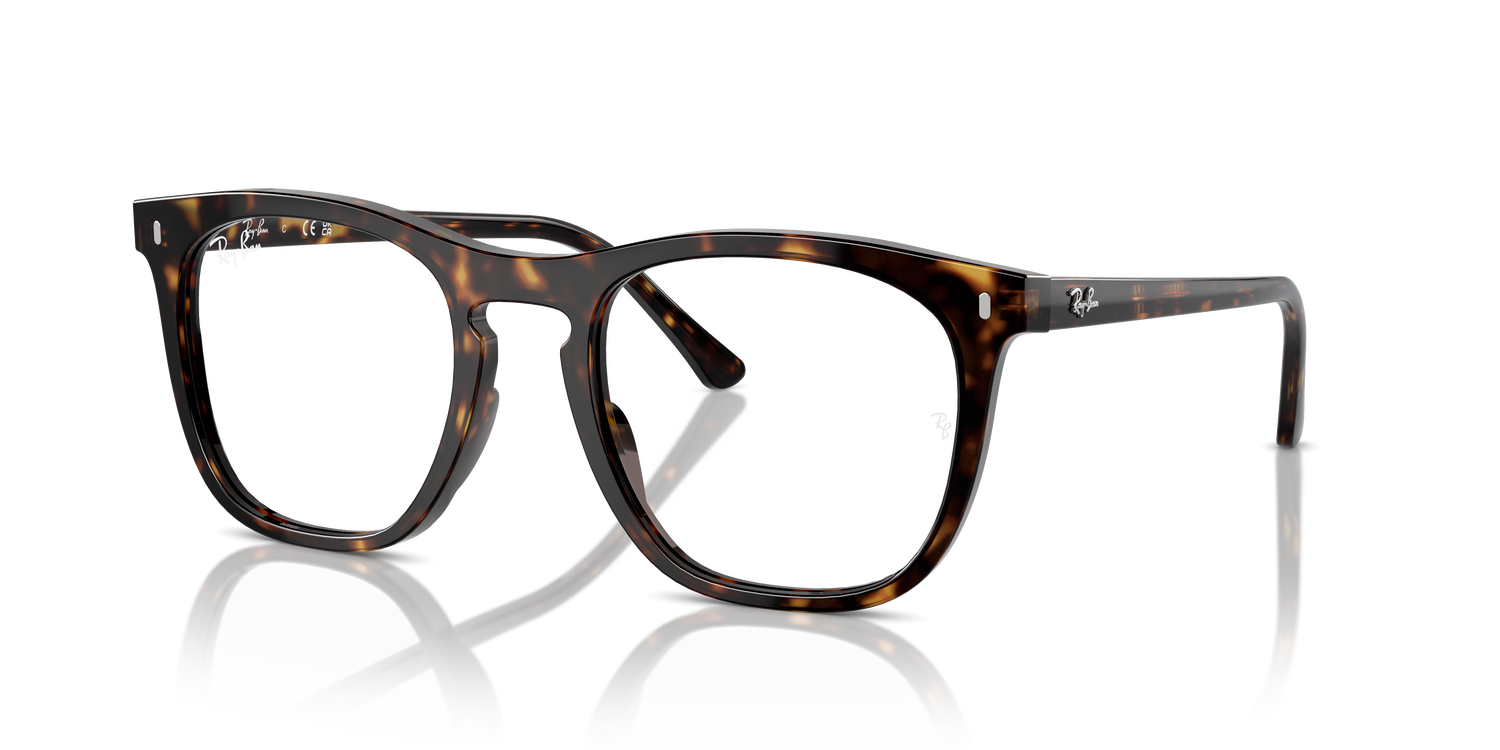 RAY-BAN RX2210V 2012 53