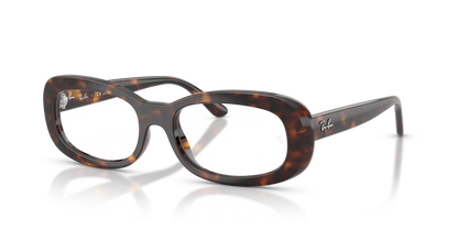 RAY-BAN RX2221V 2012 51