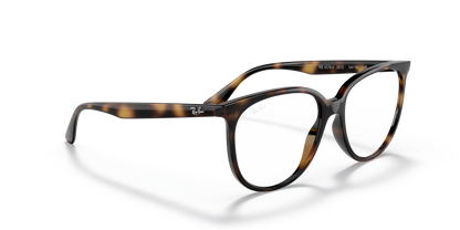 RAY-BAN RX4378V 2012 54