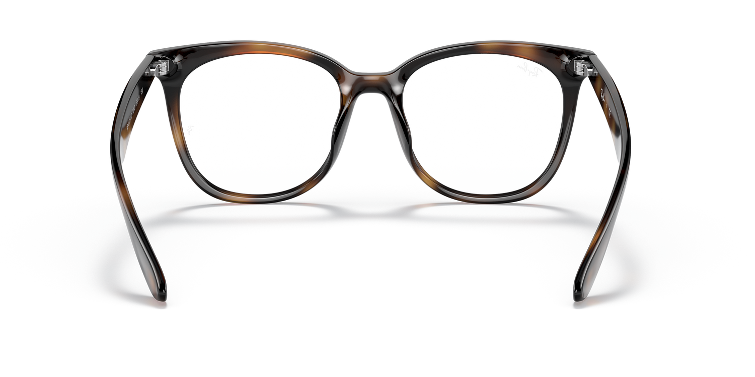 RAY-BAN RX4379VD 2012 53 - 4