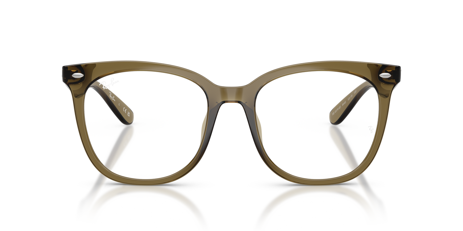 RAY-BAN RX4379VD 8445 53