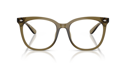 RAY-BAN RX4379VD 8445 53