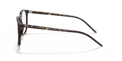RAY-BAN RX5387 2012 54