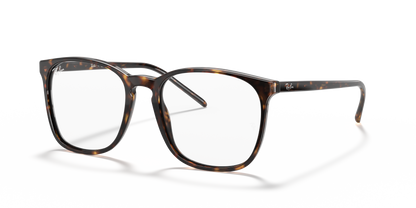 RAY-BAN RX5387 2012 54