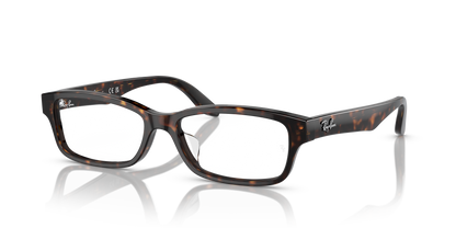 RAY-BAN RX5415D 8287 55