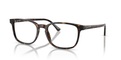 RAY-BAN RX5418 2012 54