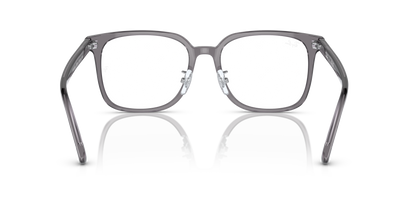 RAY-BAN RX5419D 8268 54