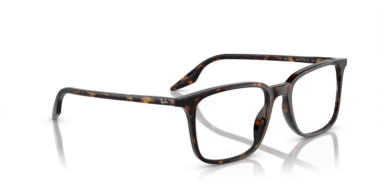 RAY-BAN RX5421 2012 55