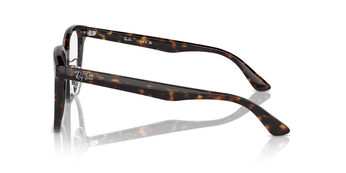 RAY-BAN RX5425D 2012 54