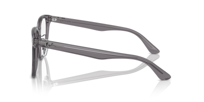 RAY-BAN RX5425D 8268 54