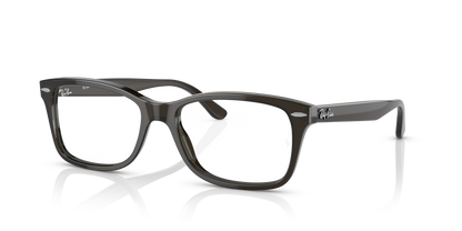 RAY-BAN RX5428 8299 55