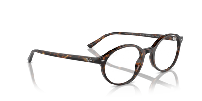 RAY-BAN RX5429 GERMAN 2012 53