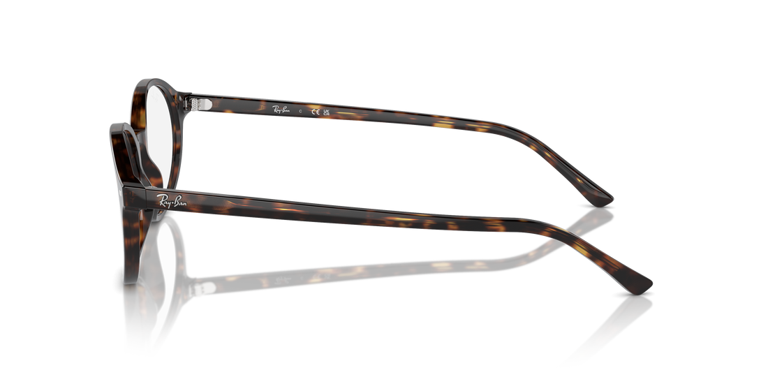 RAY-BAN RX5429 GERMAN 2012 51