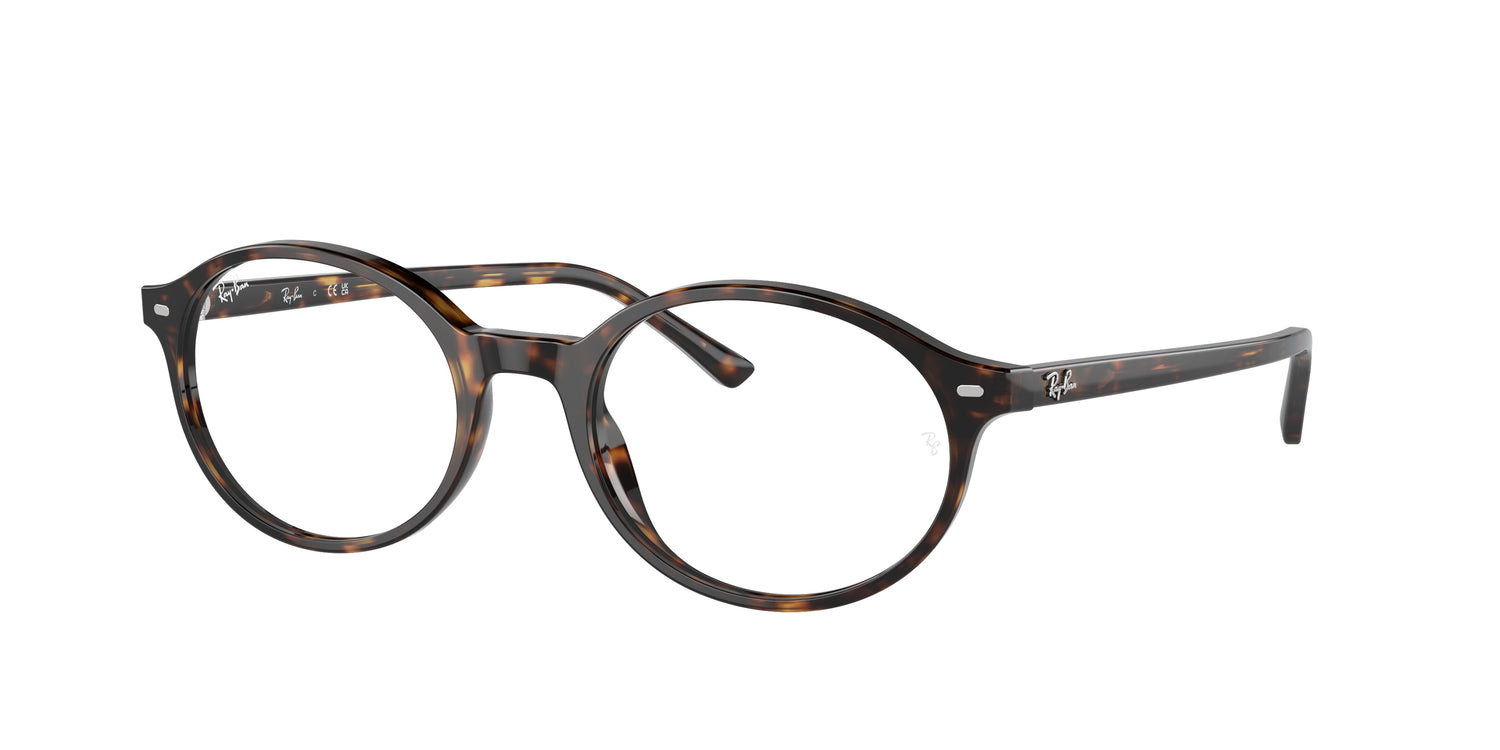 RAY-BAN RX5429 GERMAN 2012 51