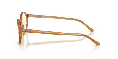 RAY-BAN RX5429 GERMAN 8439 51
