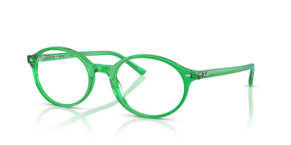 RAY-BAN RX5429 GERMAN 8441 51