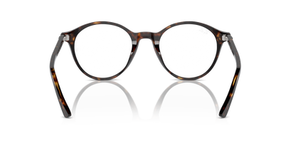 RAY-BAN RX5430 BERNARD 2012 49