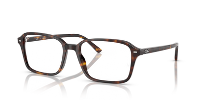 RAY-BAN RX5431 RAIMOND 2012 54